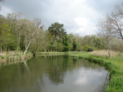 River Test Leckford Estate